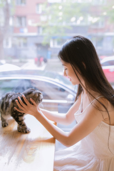 等风来电影